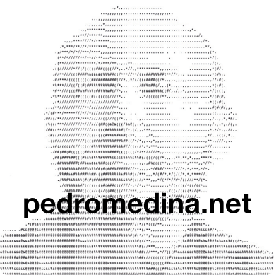 logo pedro medina footer